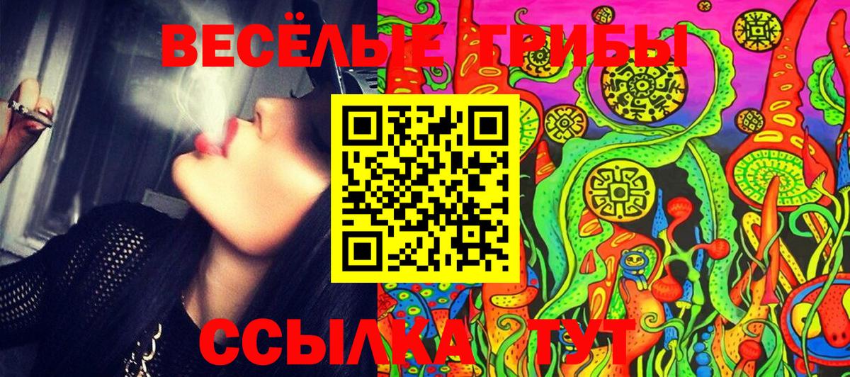 Псилоцибиновые грибы Psilocybine cubensis  Вход с VPN  Удомля 